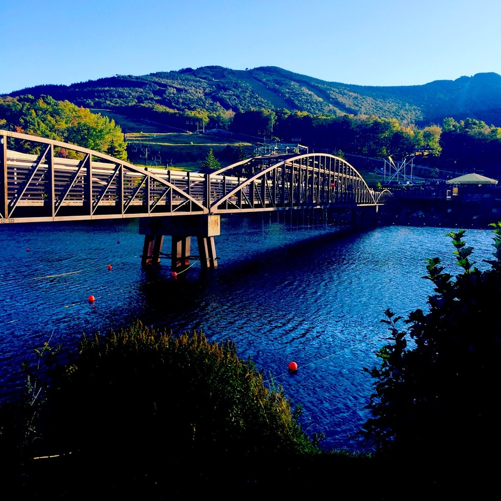 Show me what you got, let’s Posh!!